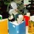 Ураган «Сэнди» заставил вспомнить о спасении бумажных книг