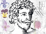 Британский ученый нашел прижизненный портрет Шекспира в книге по ботанике