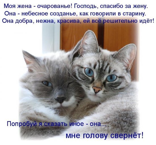 Stihi_dlya_vzroslyh..._i_ne_tolko._Sborn