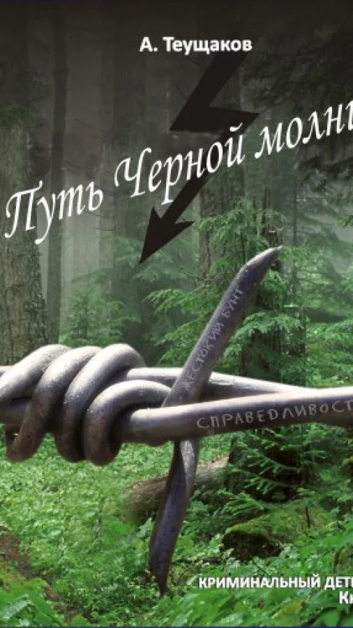 Путь Черной молнии кн1