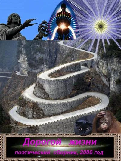 Дорогой жизни