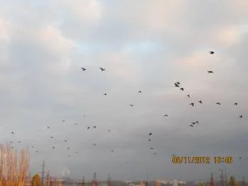 Хроника в формате афоризма. Часть 2