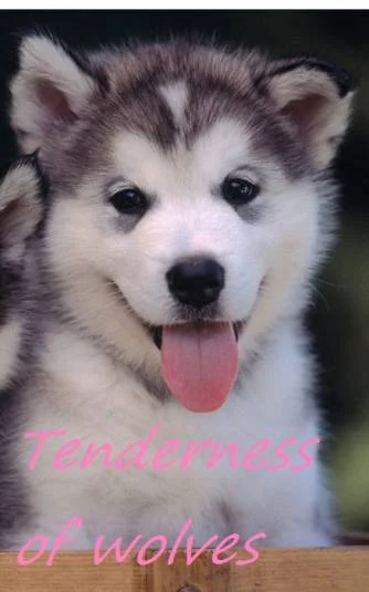 Tenderness of wolves (Нежность волков) + III глава