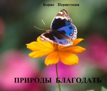 Природы благодать
