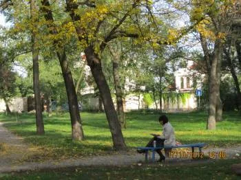Стихи разных лет