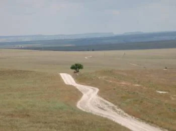 Во дни сомнений и раздумий