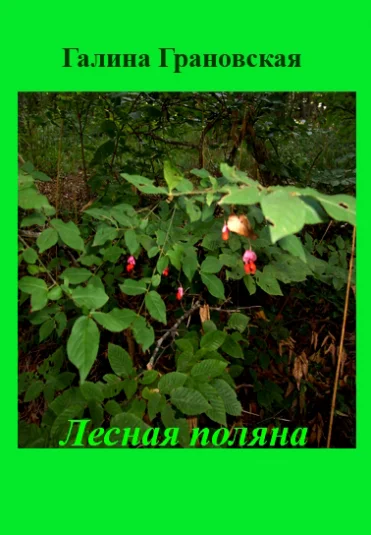 ЛЕСНАЯ ПОЛЯНА сказка-загадка