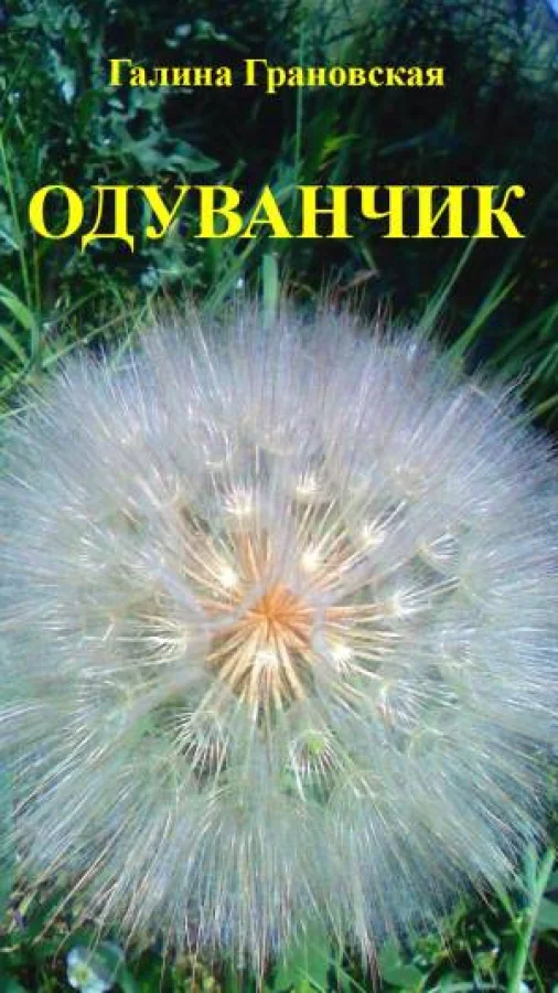 ОДУВАНЧИК