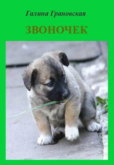 ЗВОНОЧЕК