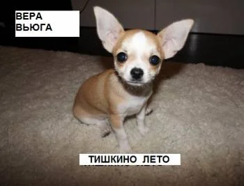Тишкино лето