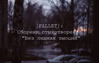 Без лишних эмоций