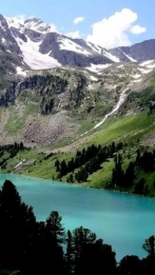 Карагальник