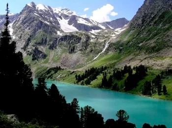 Карагальник