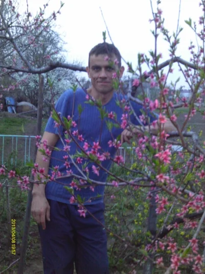Прекрасный принц