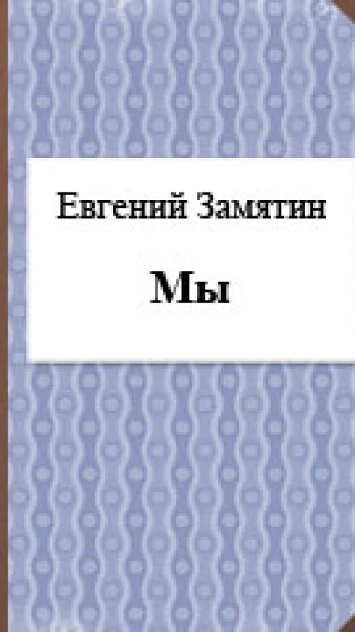Мы
