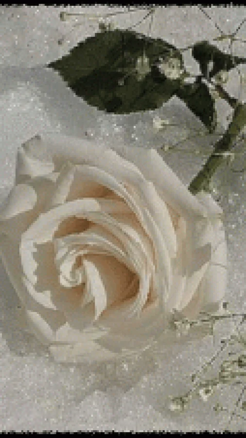 Сожжёные стихи