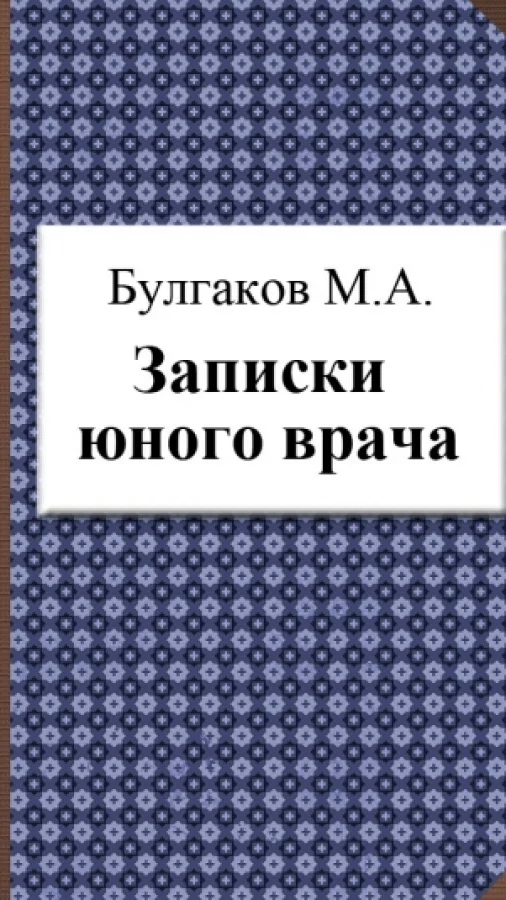 Записки юного врача