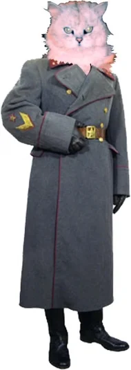 Шинель