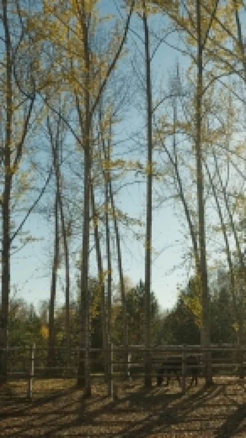 Двое в облаке