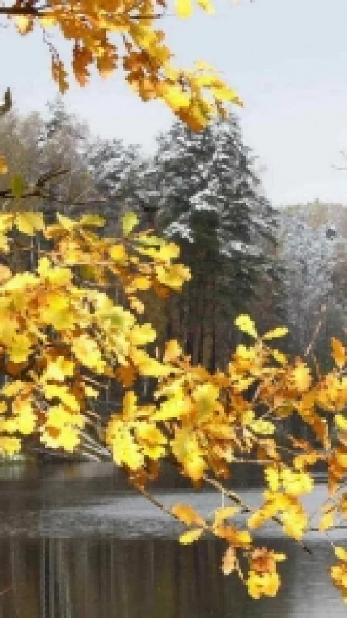 Поздняя осень
