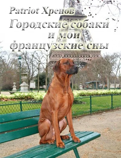 Городские собаки и мои французские сны