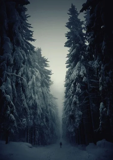 Сборная