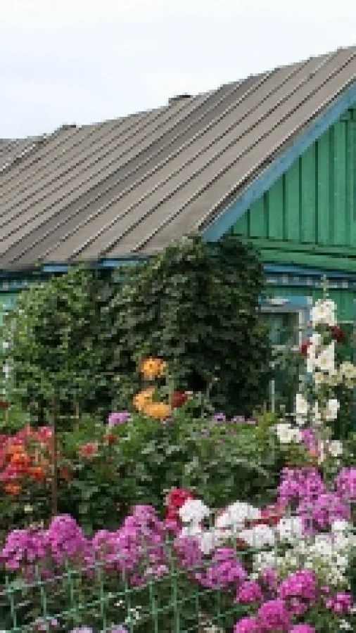 Геравера