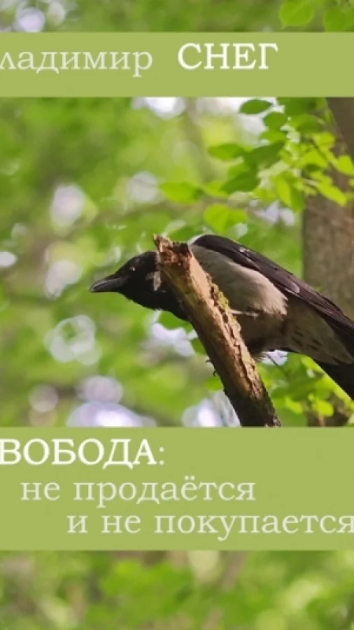 Истории про свободу.