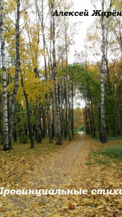 Провинциальные стихи