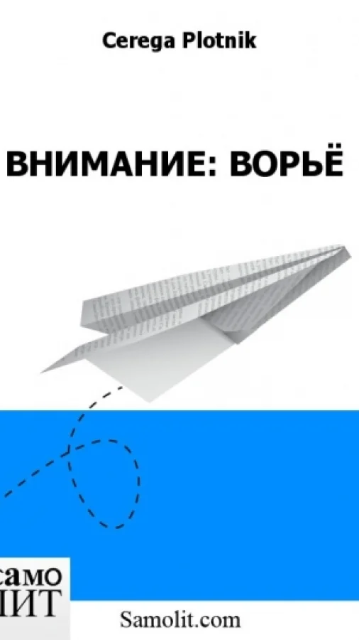 ВНИМАНИЕ: ВОРЬЁ