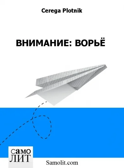 ВНИМАНИЕ: ВОРЬЁ