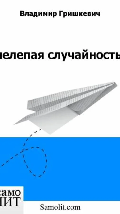 нелепая случайность