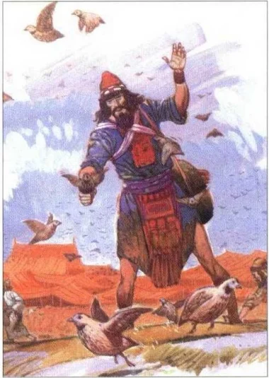 Гробы прихоти