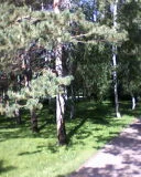 Ловушка для принцесы