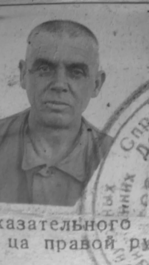 Паутина