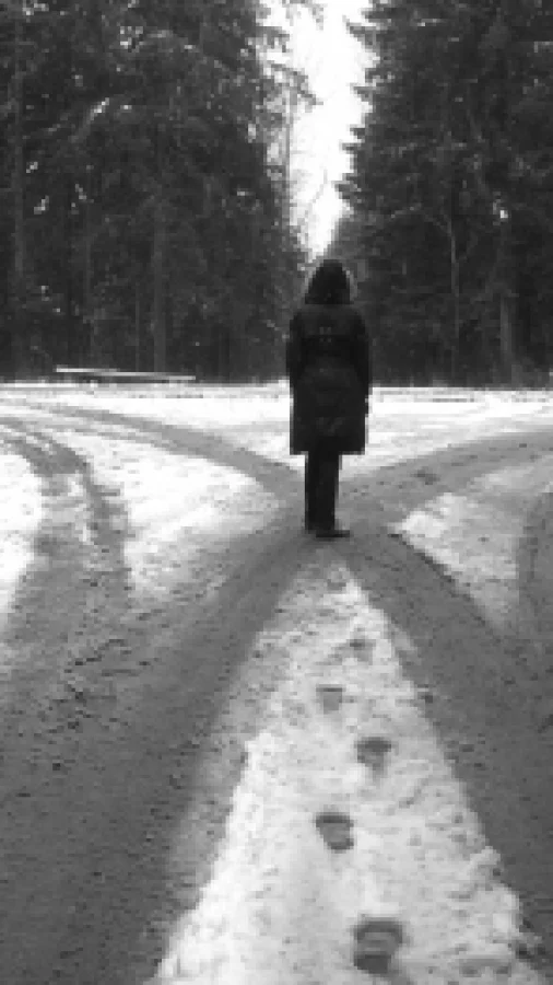 ТРОПИНКИ  БЫТИЯ (сонеты)