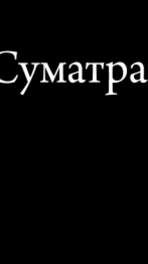 Суматра.