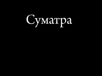 Суматра.