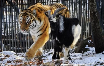 Рай земной