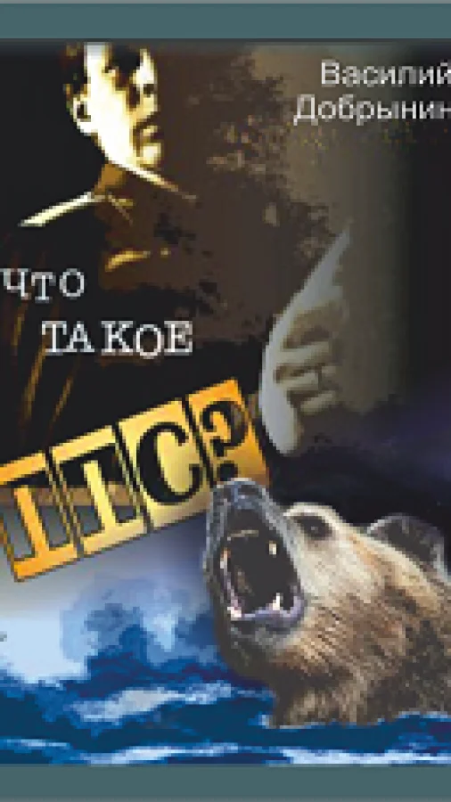Что такое ППС?