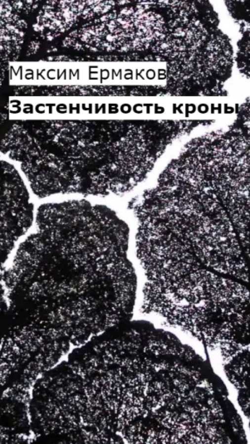 Застенчивость кроны