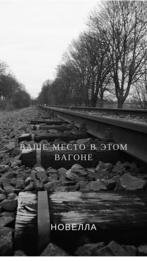Ваше место в этом вагоне