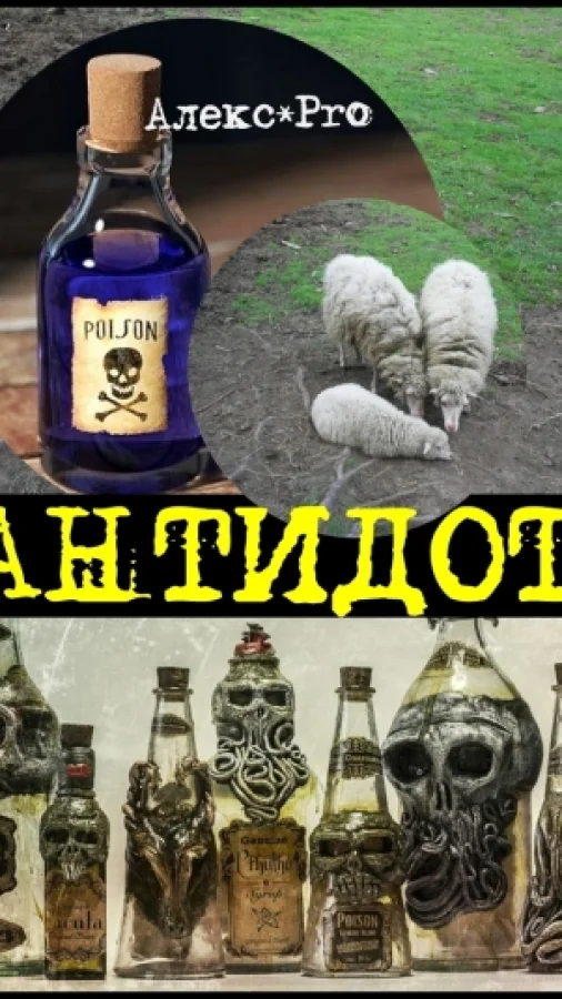 Антидот