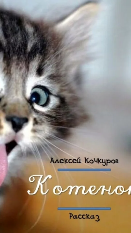 Котенок