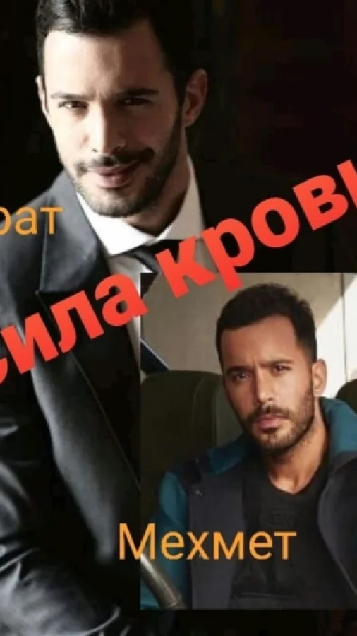 Сила крови.
