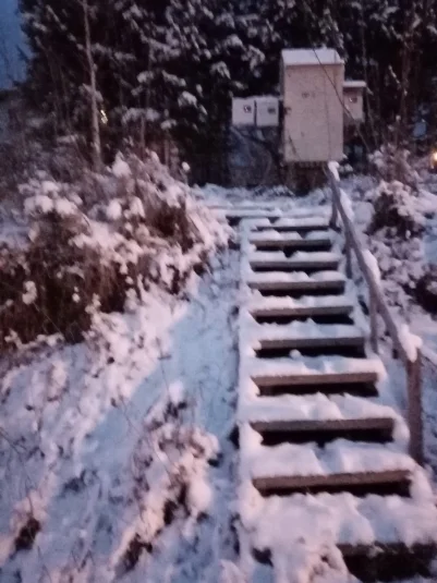 Двадцать два несчастья