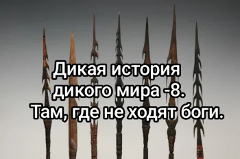 Дикая история дикого мира-8. Там, где не ходят боги.