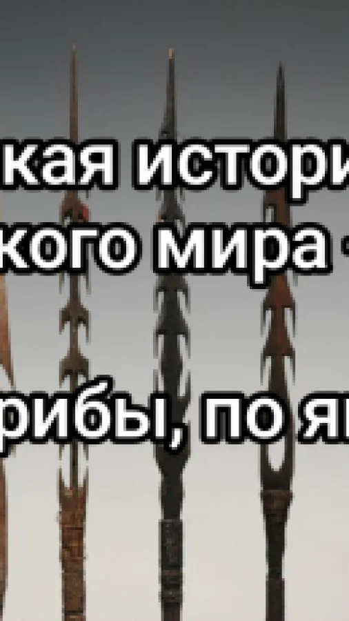 Дикая история дикого мира-9. По грибы, по ягоды.