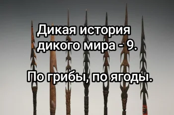 Дикая история дикого мира-9. По грибы, по ягоды.