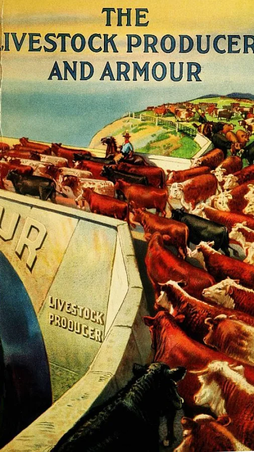 The Livestock Producer and Armour